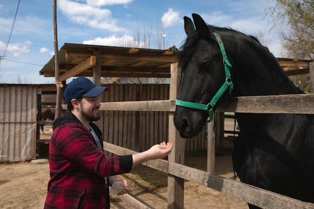 Homem alimentando um cavalo