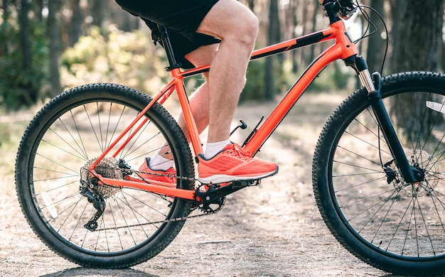 Homem andando de bicicleta ao longo do caminho pela floresta ensolarada