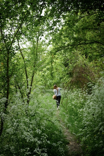 Homem andando na floresta