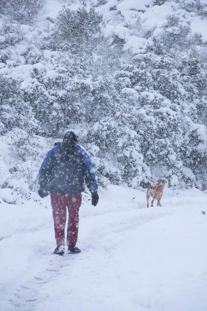 Homem andando na montanha de neve durante a queda de neve com um cachorro