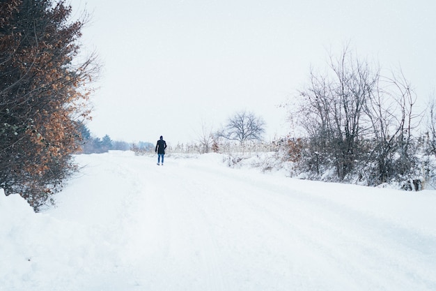 Homem, andar, através, inverno, montanha, paisagem