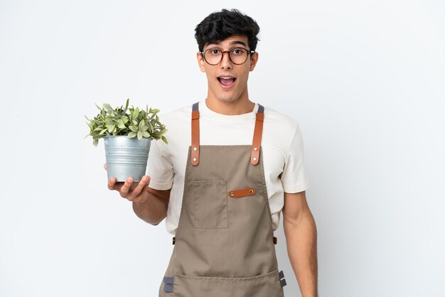 Homem argentino de jardineiro segurando uma planta isolada no fundo branco com expressão facial de surpresa