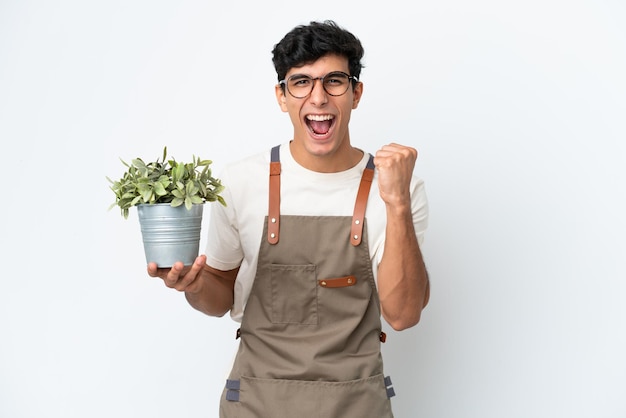 Homem argentino de jardineiro segurando uma planta isolada no fundo branco comemorando uma vitória na posição de vencedor