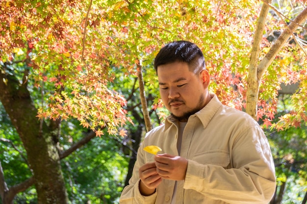 Homem Asain segurando ginkgo dourado na mão com vista natural de fundo da árvore ginko com mudança de cor no outono outono em cor amarela dourada