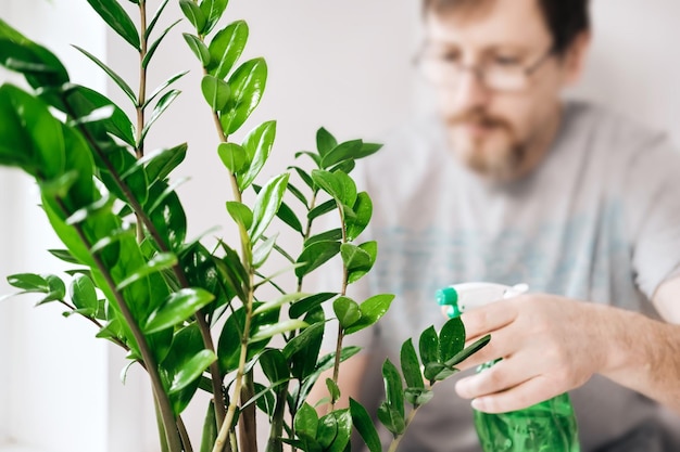 Homem barbudo com óculos tende a plantar em casa e pulveriza Conceito de jardinagem de foco suave