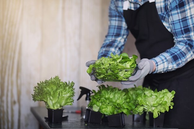 Homem barbudo de avental e luvas segurando uma tigela de salada verde fresca