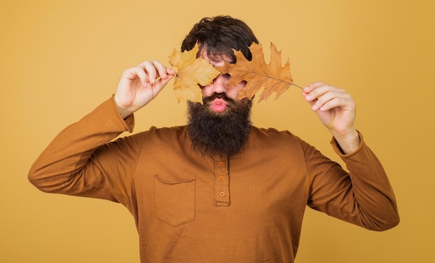 Homem barbudo de outono cobrindo os olhos com folhas amarelas moda sazonal roupas de outono