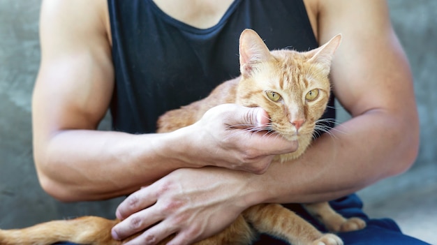 Homem brincando com um gato vermelho.