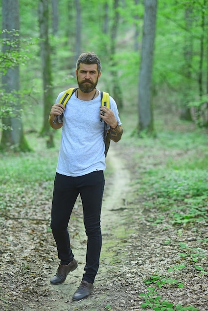 Homem caminhando em um local rural através de uma floresta jovem em caminhante de floresta com mochila caminhando