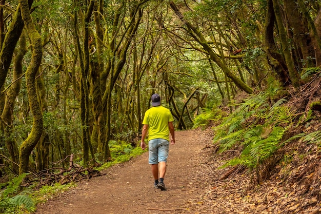 Homem caminhando em uma trilha de trekking na floresta de árvores musgosas do Parque Nacional Garajonay La Gomera Ilhas Canárias Na excursão a Las Creces