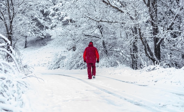 Homem caucasiano caminhando pela floresta de neve.