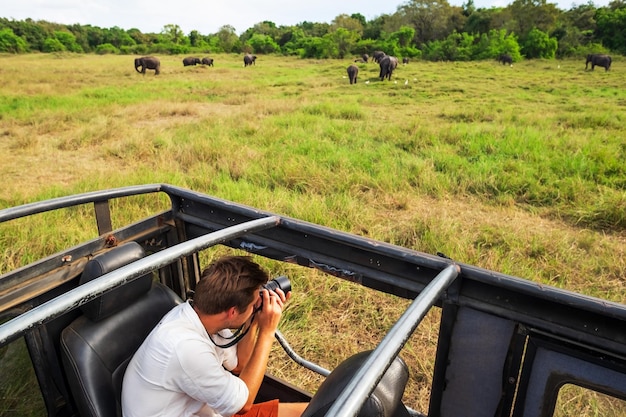 Homem caucasiano de camisa branca fazendo fotos de manada de elefantes durante safári no parque nacional do Sri Lanka