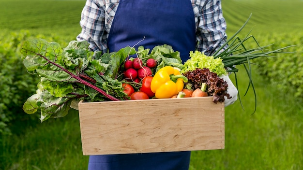 Homem close-up, segurando cesta, com, legumes