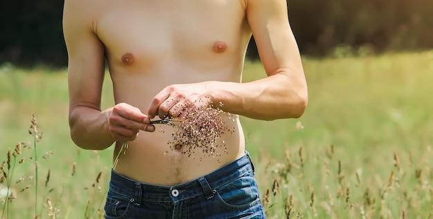 Homem colhendo flores no campo de verão