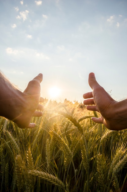 Homem colocando o sol com as mãos sobre o trigo