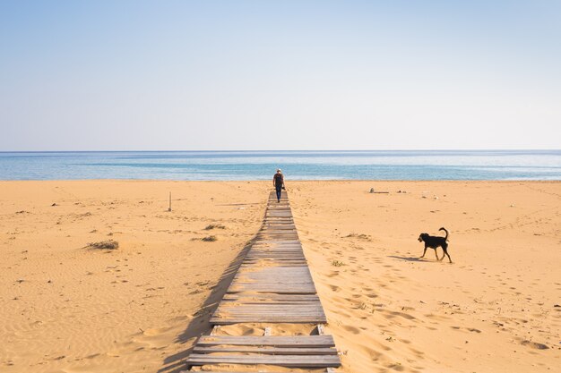 Homem com cachorro andando na praia tropical.