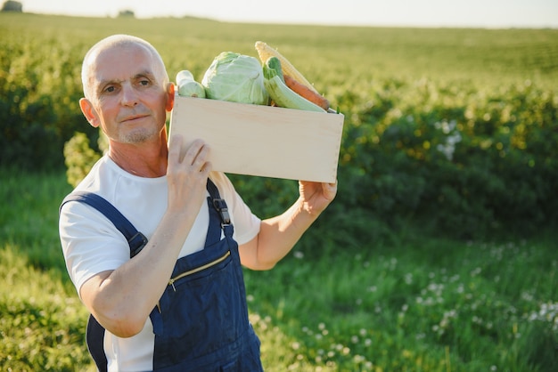 Homem com caixa de madeira com vegetais no campo