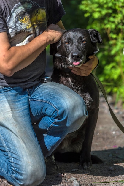 Foto homem com cão ao ar livre