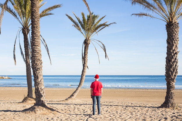 Homem com chapéu de Papai Noel na praia, vista traseira