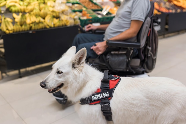 Homem com deficiência com seu cão de serviço