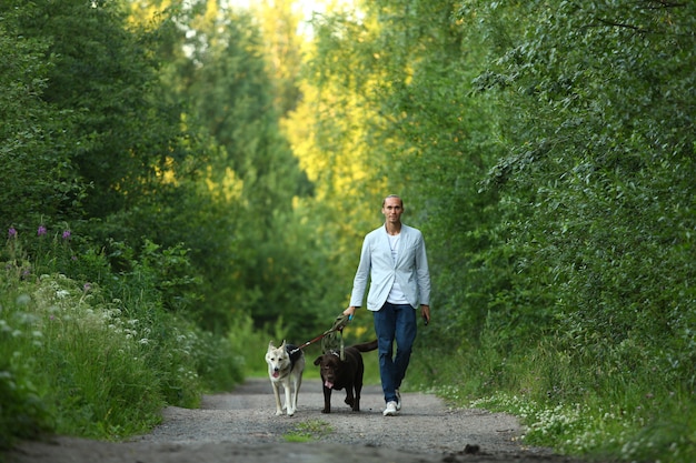 Homem com dois cães andando em uma floresta ensolarada