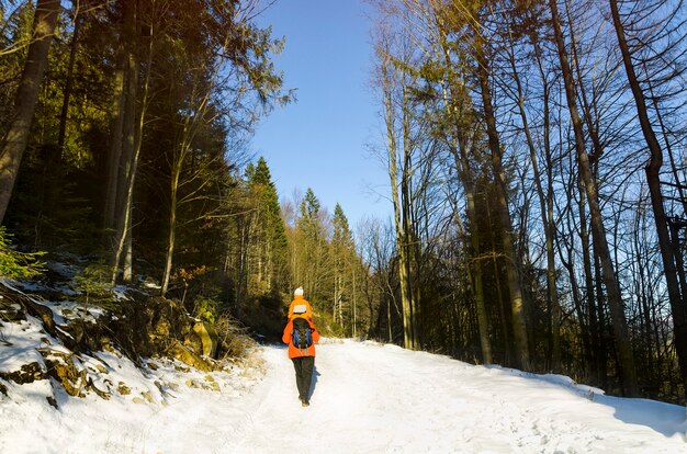 Homem com filho nos ombros, caminhando pela estrada em um bosque nevado. Inverno. Dia.