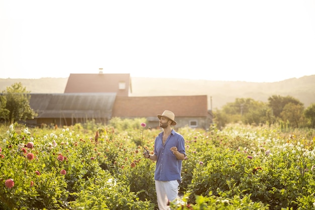 Homem com flores de dália recém-colhidas na fazenda rural