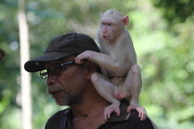 Homem com macaco sentado na floresta