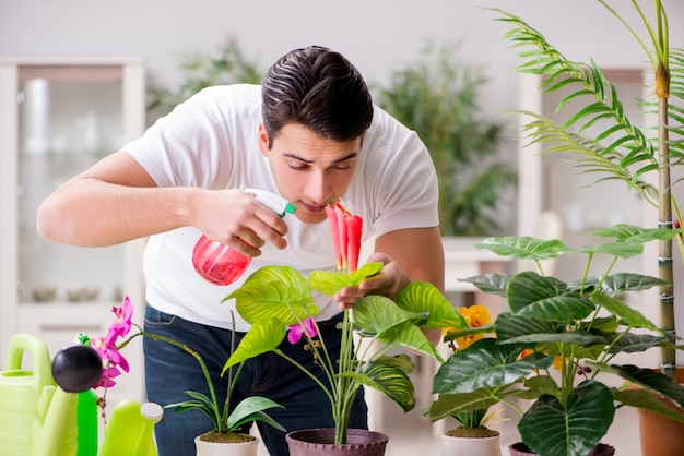 Homem cuidando de plantas em casa