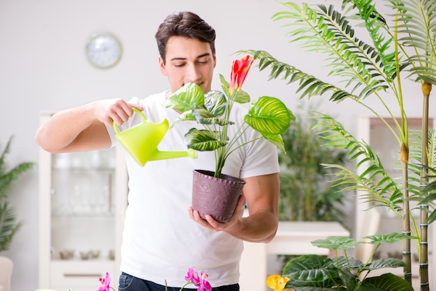 Homem cuidando de plantas em casa