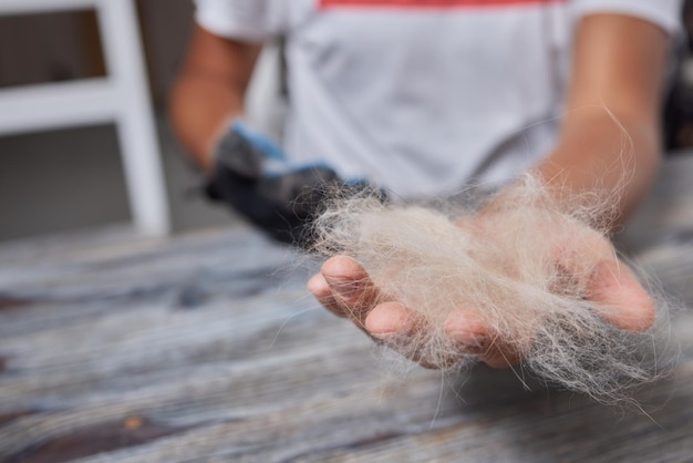 Homem cuidando do gato com luvas especiais Cuidados com animais de estimação