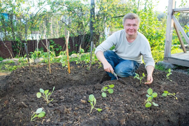 Homem cultiva mudas de repolho no jardim