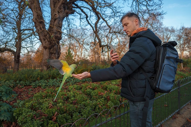 Homem dá comida a um periquito de pescoço anelado em um parque de Londres na estação de inverno