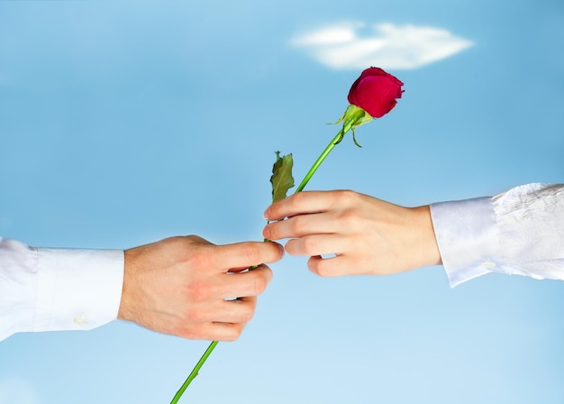 Homem dando uma rosa para uma mulher no fundo do céu azul