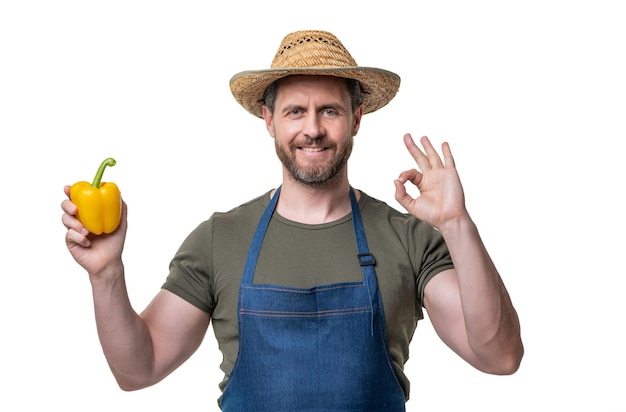 Homem de avental e chapéu com pimenta doce vegetal isolado em branco ok