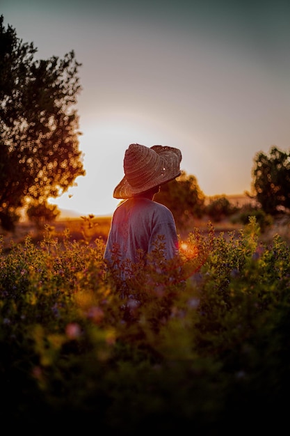 Homem de chapéu de pé no meio de plantas contra o céu claro ao pôr do sol