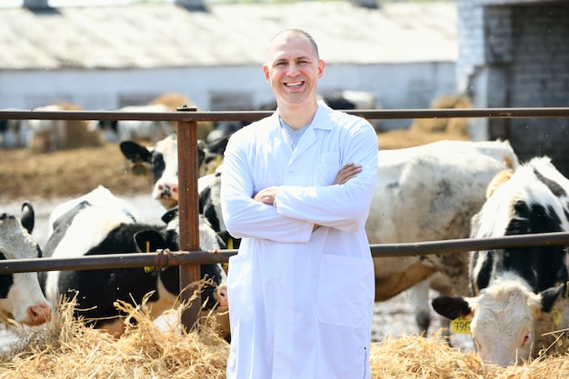 Homem de jaleco branco na fazenda de vacas