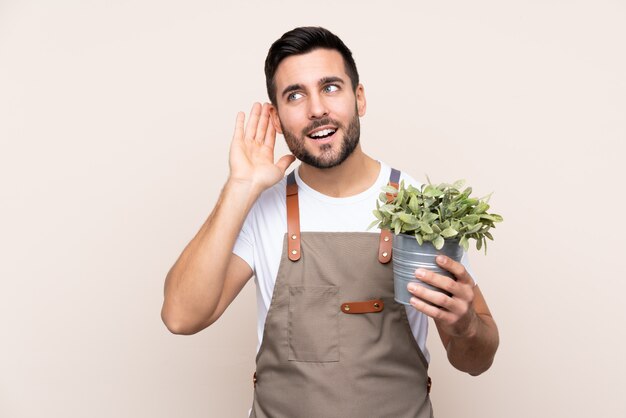 Homem de jardineiro segurando uma planta sobre parede isolada, ouvindo algo