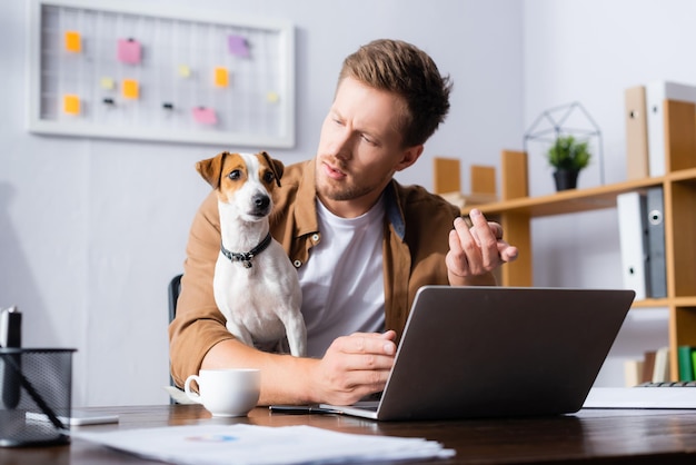 Homem de negócios sério sentado no local de trabalho perto de laptop e olhando para o cachorro jack russell terrier