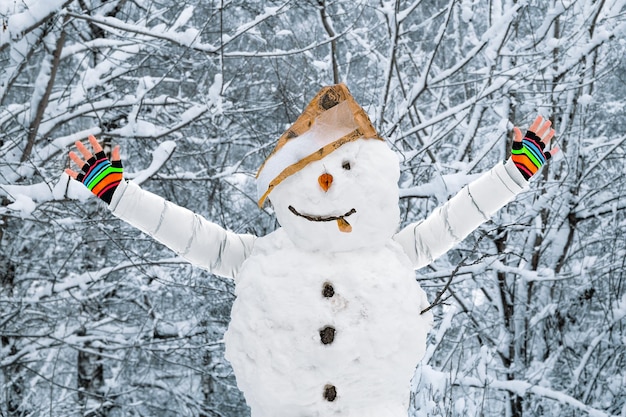 Foto homem de neve com os braços estendidos