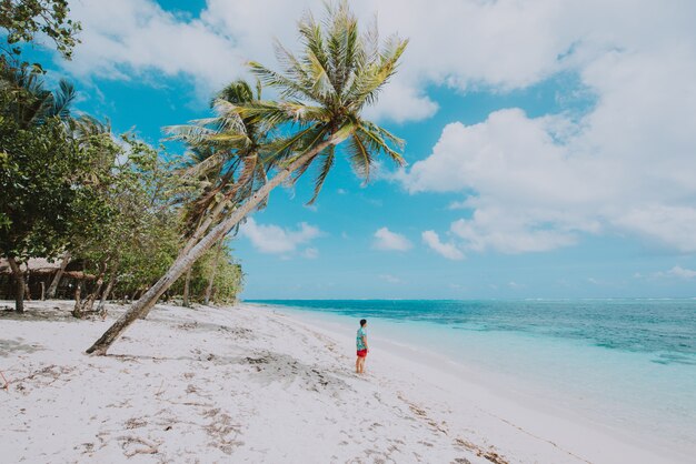 Homem de pé na praia e apreciando o lugar tropical com vista. cores do mar do Caribe e palmeiras ao fundo. Conceito sobre viagens e estilo de vida