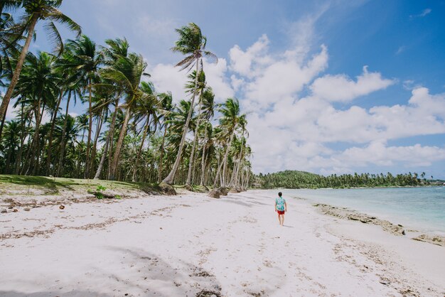 Homem de pé na praia e apreciando o lugar tropical com vista. cores do mar do caribe e palmeiras ao fundo. conceito sobre viagens e estilo de vida