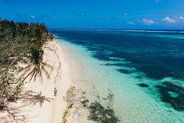 Homem de pé na praia e apreciando o lugar tropical com vista. cores do mar do caribe e palmeiras. Conceito sobre viagens e estilo de vida