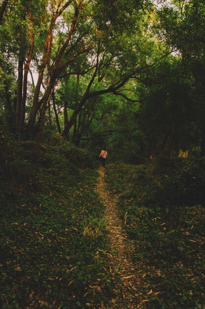 Homem de pé numa floresta