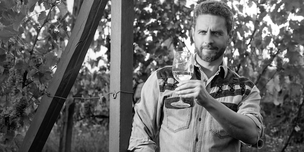Homem de vinho barbudo sorridente segura taça de vinho no viticultor ao ar livre do vinhedo
