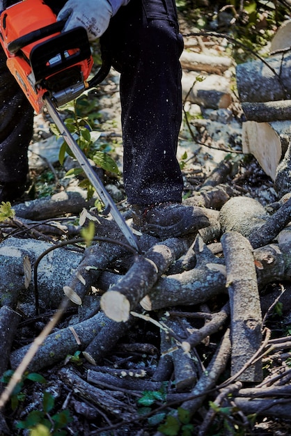 Homem derrubando floresta com uma serra elétrica