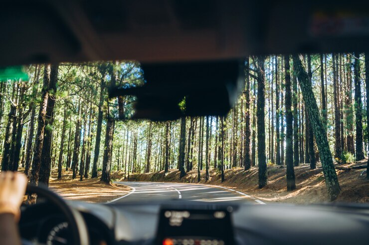 Foto homem dirigindo o carro com vista de dentro.