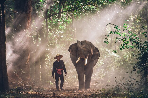 Homem e seu elefante no norte da Tailândia