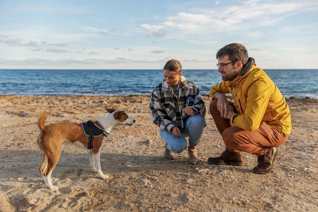 Homem elegante passeando com seu cachorro à beira-mar Cuidando de animais