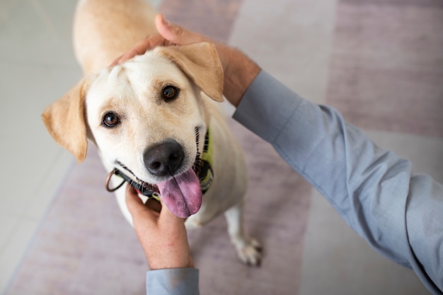 Homem em casa com seu companheiro de cachorro